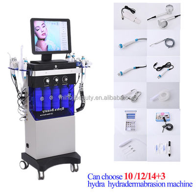 Buy Customizable Hydra Beauty Machine 14+3 For Face Lifting Acne Treatment online manufacture