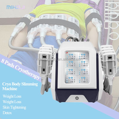 Buy 8 Handles Cryolipolysis Slimming Machine with 10.4 Inch LCD Display Screen online manufacture