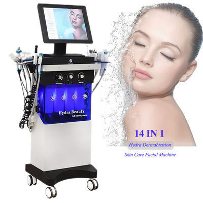 Effortless 14 In 1 Hydrafacial Machine For Wrinkle Remove And Skin Rejuvenation